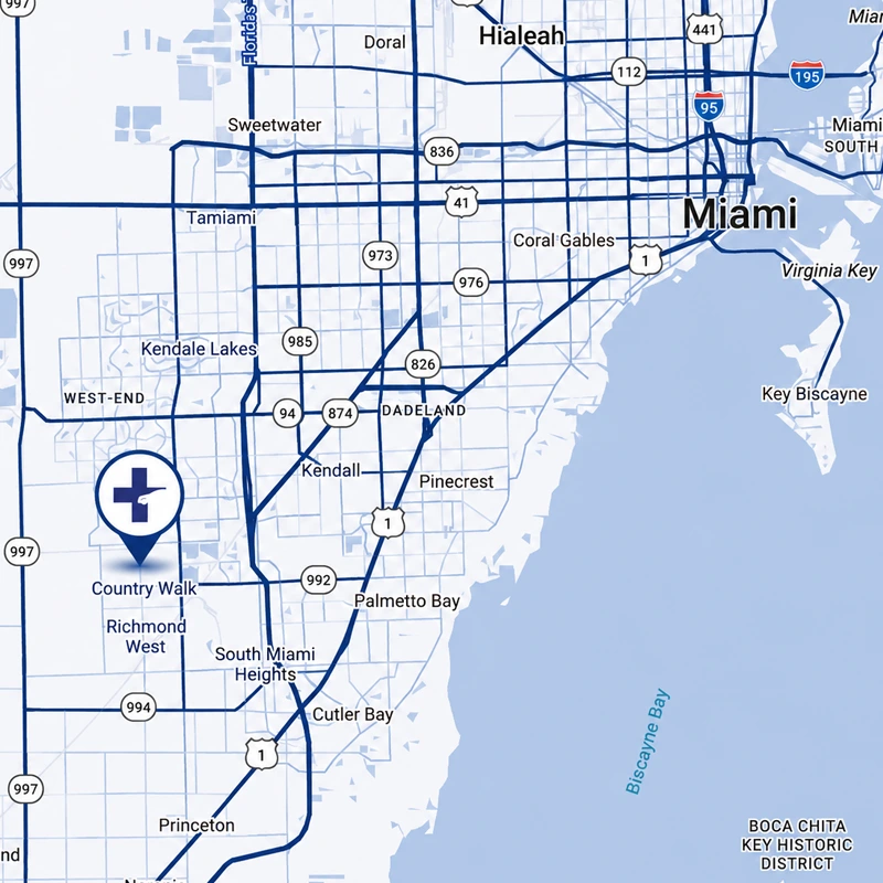 The Car Clinic of Miami Miami Florida